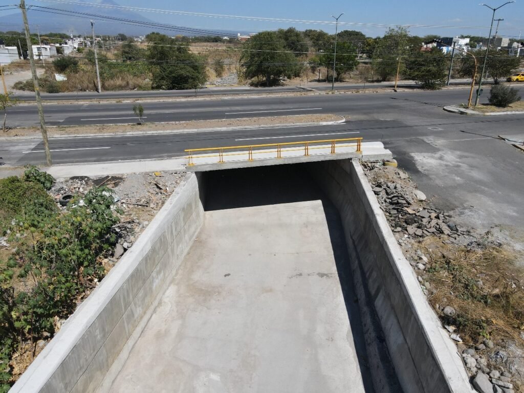 PUENTE TULIPANES