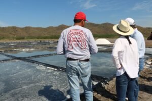 UdeC fortalece colaboración para crear una Marca de Certificación de Sal_c