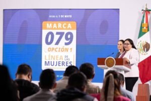 LINEA MUJERES INDIRA