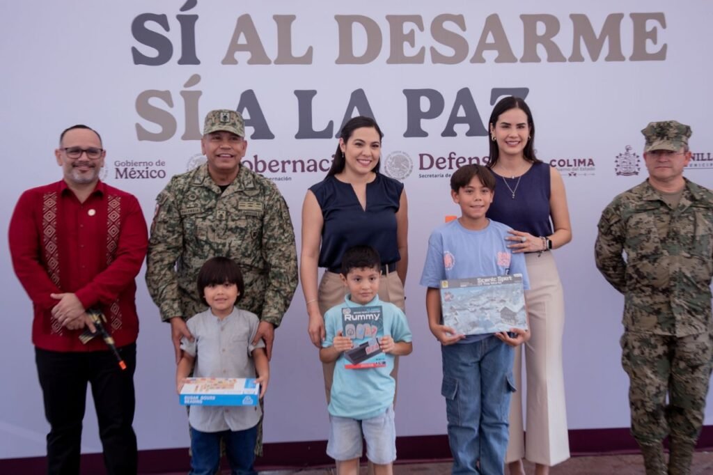 DESARME INDIRA VIZCAINO
