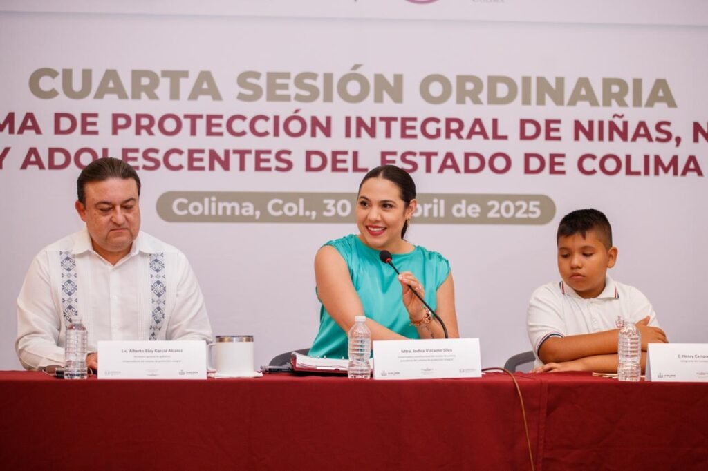 INDIRA VIZCAINO PROTECCIÓN NIÑOS