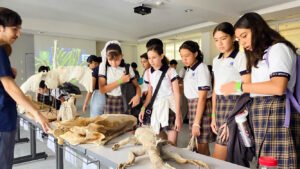 Celebran Día Mundial del Medio Ambiente con actividades de sensibilización_b