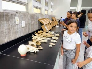 Loritas y loritos aprenden sobre la vida marina, en Loromanía_a