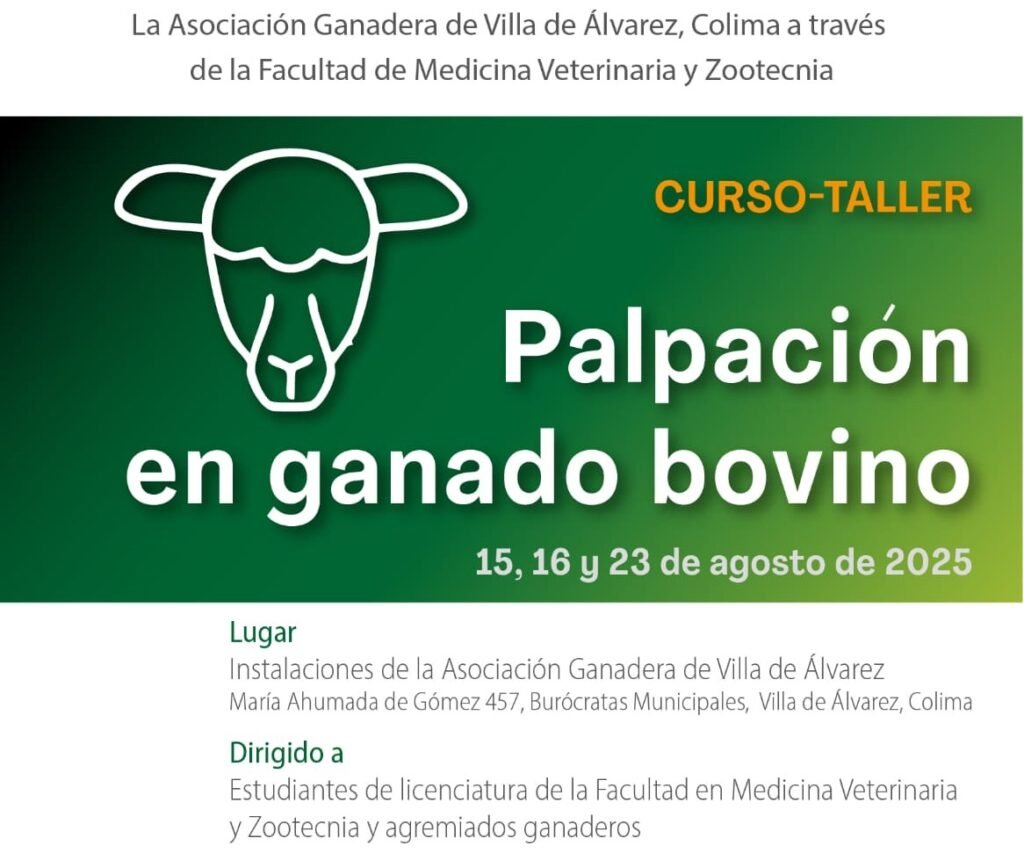 Curso de palpación en ganado bovino