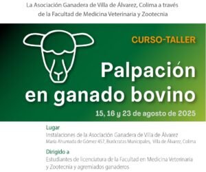 Curso de palpación en ganado bovino