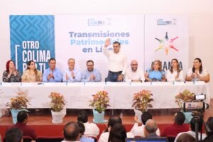 TRANSMISIONES PATRIMONIALES EN LINEA