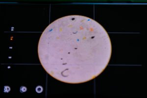 Estudiarán presencia de microplásticos en agua y leche_a