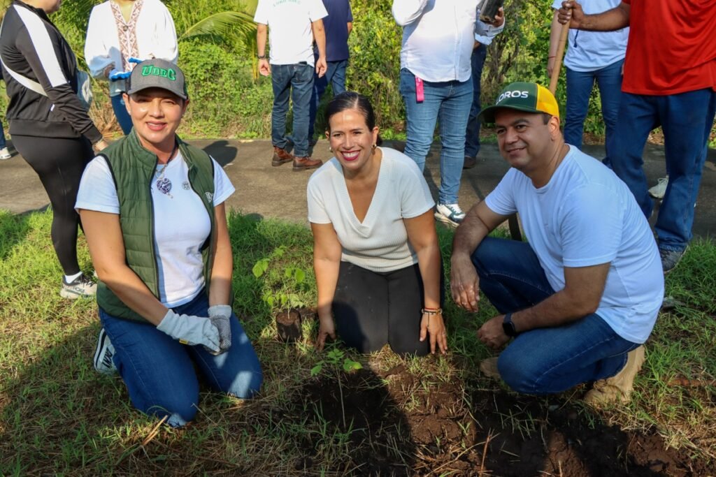 Siembran UdeC y Ayto, 250 árboles en Tecomán_a