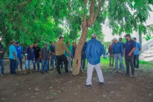 Capacitan a universitarios para atender enfermedades en árboles_e
