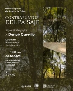 Expo Contrapuntos del Paisaje, de Deneb Carrillo_Cartel_NO es publicidad