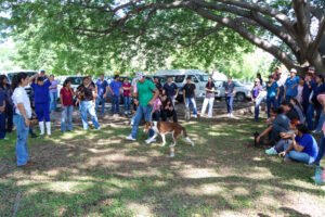Taller de adiestramiento canino, en Tecomán