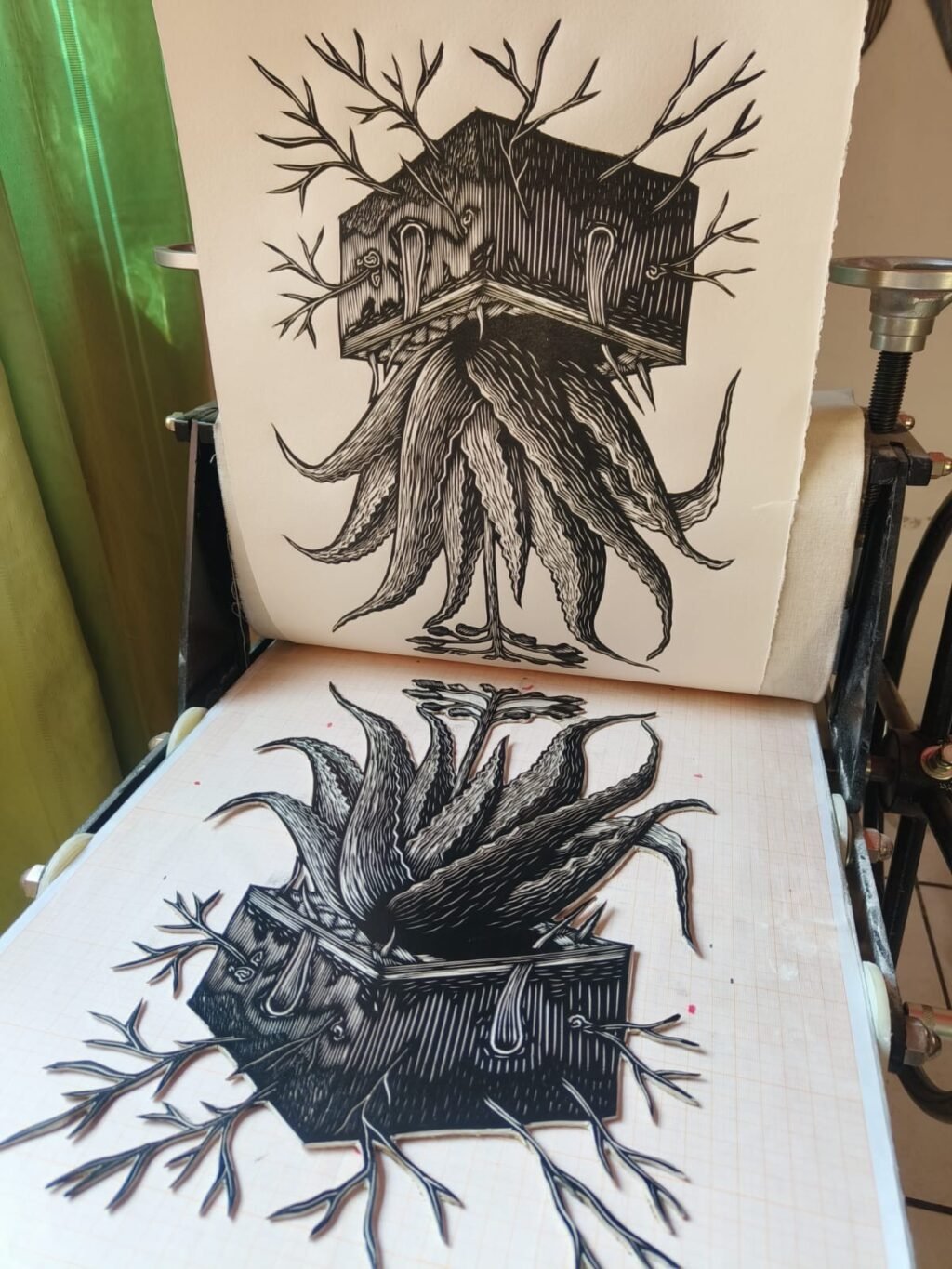 Inaugurarán en el MUAP la exposición “Raíz de Cura”_b