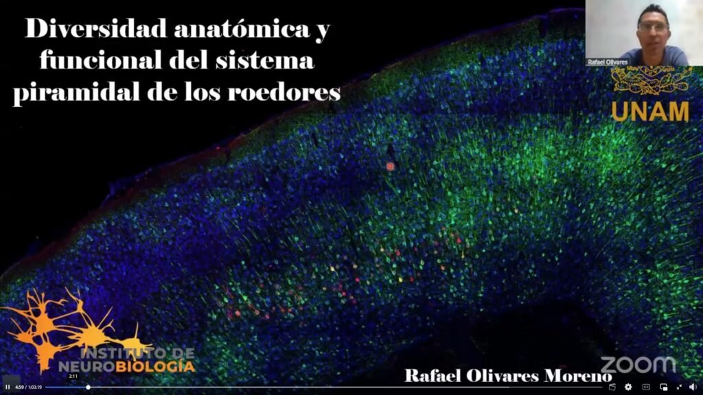 Lesiones en médula espinal y estrés_Expo Neuro 2025