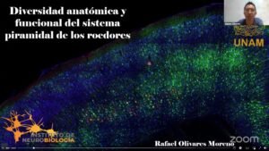 Lesiones en médula espinal y estrés_Expo Neuro 2025