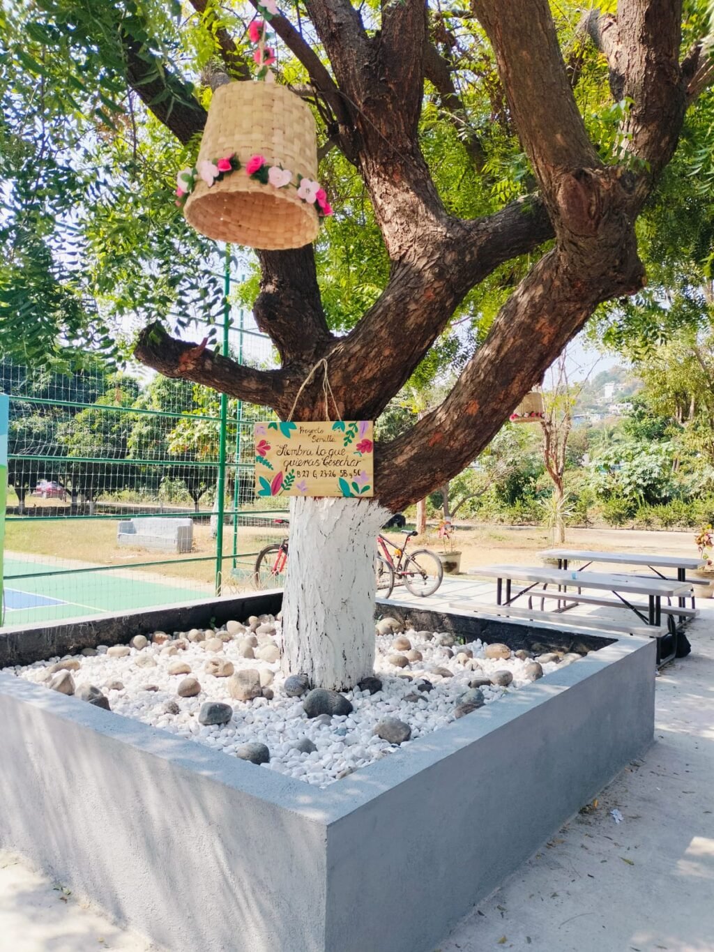 Proyecto estudiantil Semilla, en el Bachillerato 27 de Mzllo_b