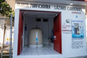 WhatsApp Image 2025-12-18 at 11.14.34