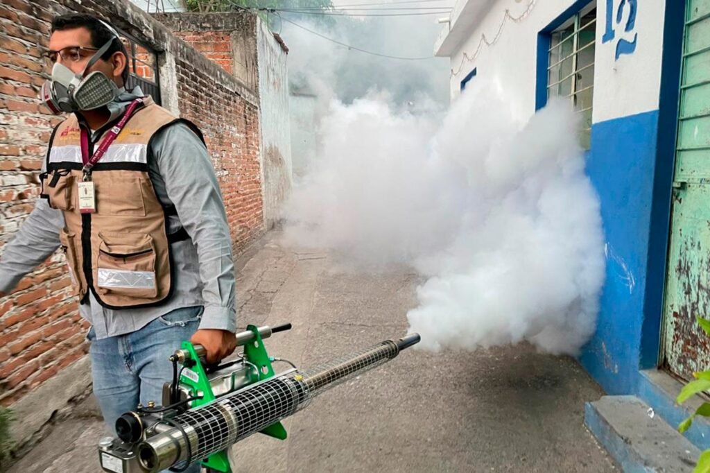 WhatsApp Image 2026-01-09 at 12.02.06