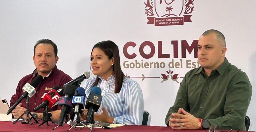 WhatsApp Image 2026-01-12 at 19.44.15