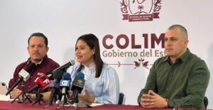 WhatsApp Image 2026-01-12 at 19.44.15