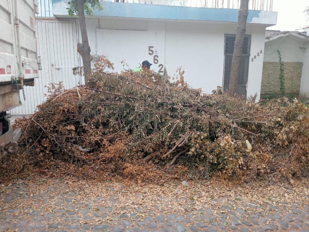 WhatsApp Image 2026-01-13 at 11.59.51