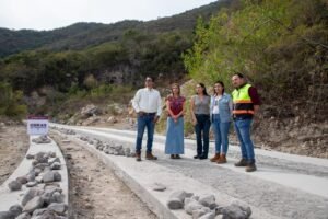 WhatsApp Image 2026-01-13 at 13.50.46