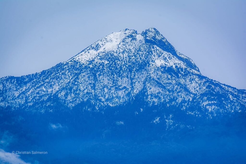 WhatsApp Image 2026-01-17 at 10.56.39