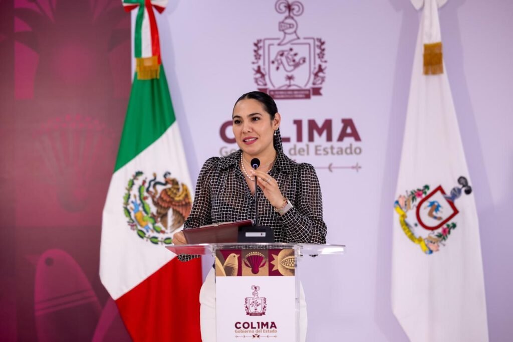 WhatsApp Image 2026-01-20 at 14.49.04