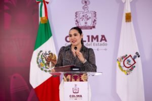 WhatsApp Image 2026-01-20 at 14.49.04