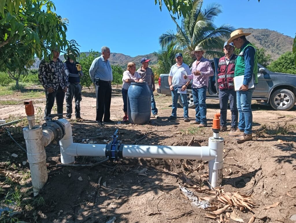 WhatsApp Image 2026-01-22 at 13.29.53