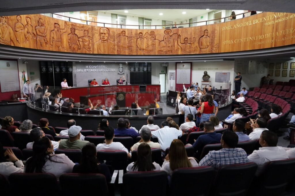 WhatsApp Image 2026-01-22 at 14.24.43