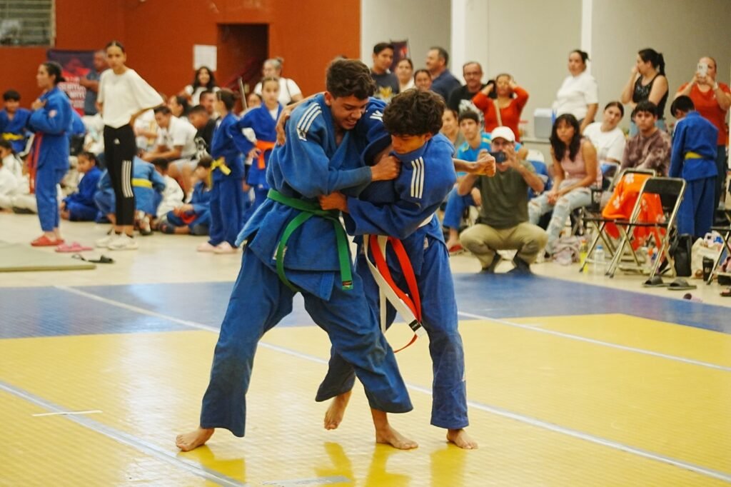 WhatsApp Image 2026-01-29 at 16.37.40