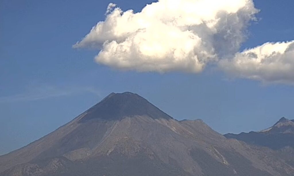 WhatsApp Image 2026-01-30 at 12.59.33