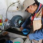 Salud Colima refuerza el control larvario contra el dengue en cinco municipios