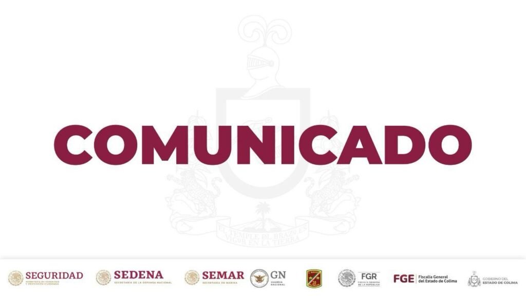 WhatsApp Image 2026-01-31 at 17.57.03