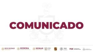 WhatsApp Image 2026-01-31 at 17.57.03