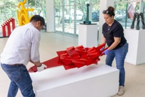 WhatsApp Image 2026-02-09 at 14.28.28