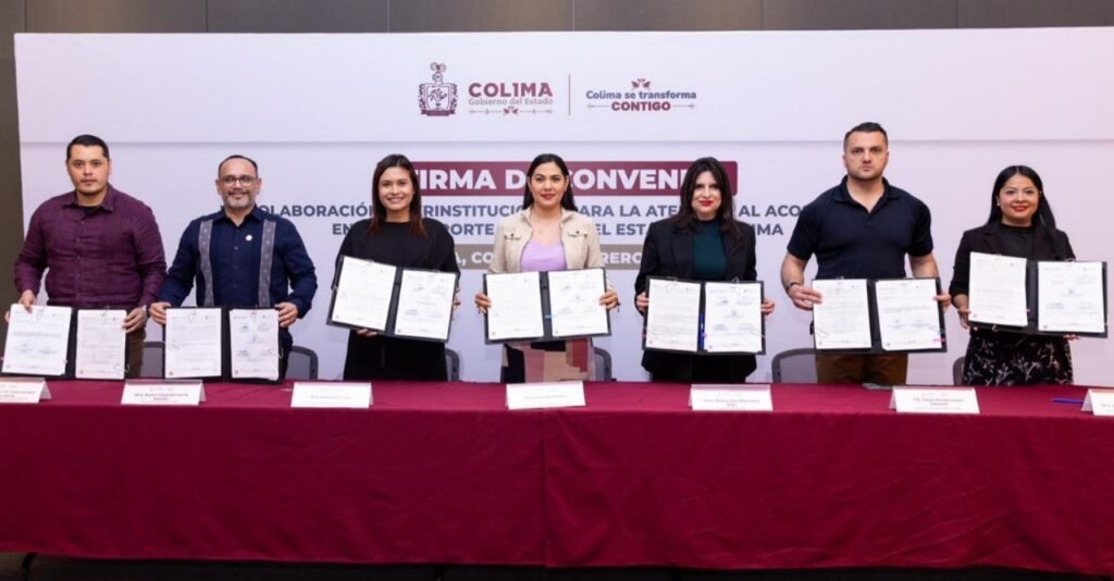 WhatsApp Image 2026-02-10 at 10.48.47