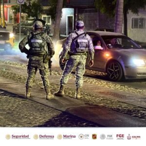 WhatsApp Image 2026-02-10 at 11.31.19