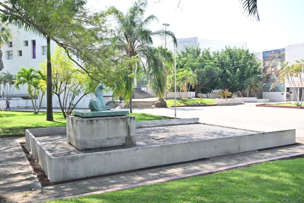 WhatsApp Image 2026-02-11 at 13.33.48