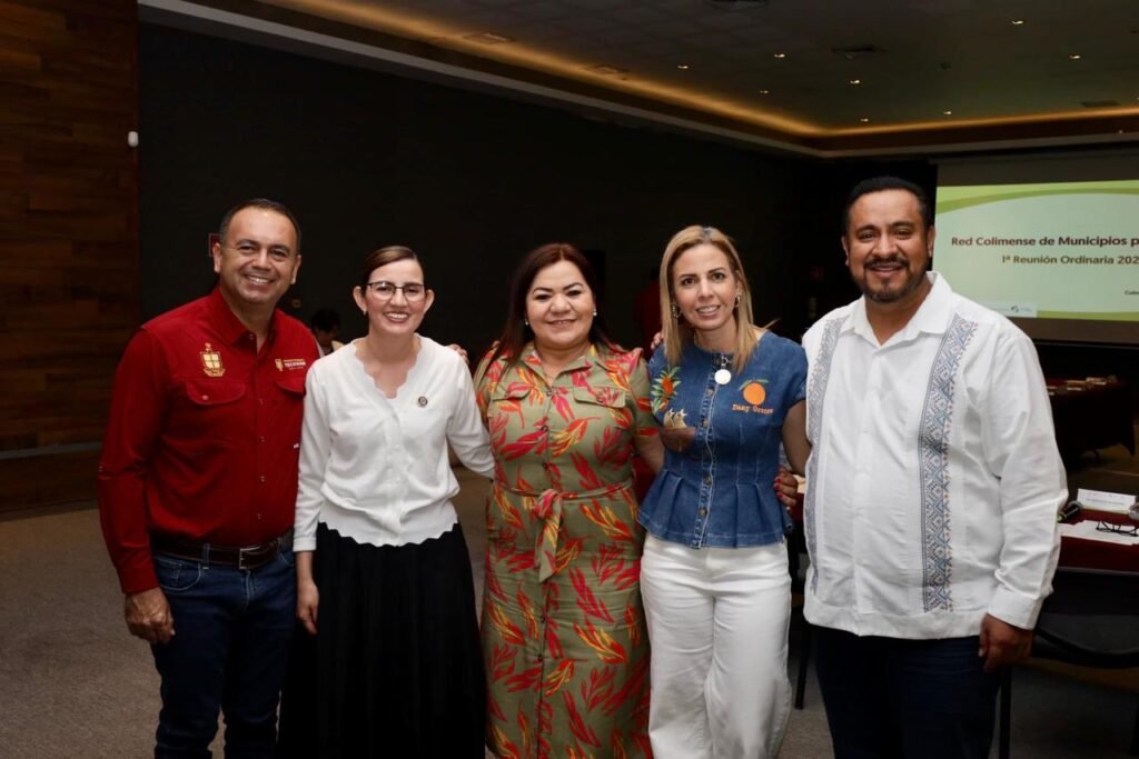 WhatsApp Image 2026-02-11 at 15.41.11