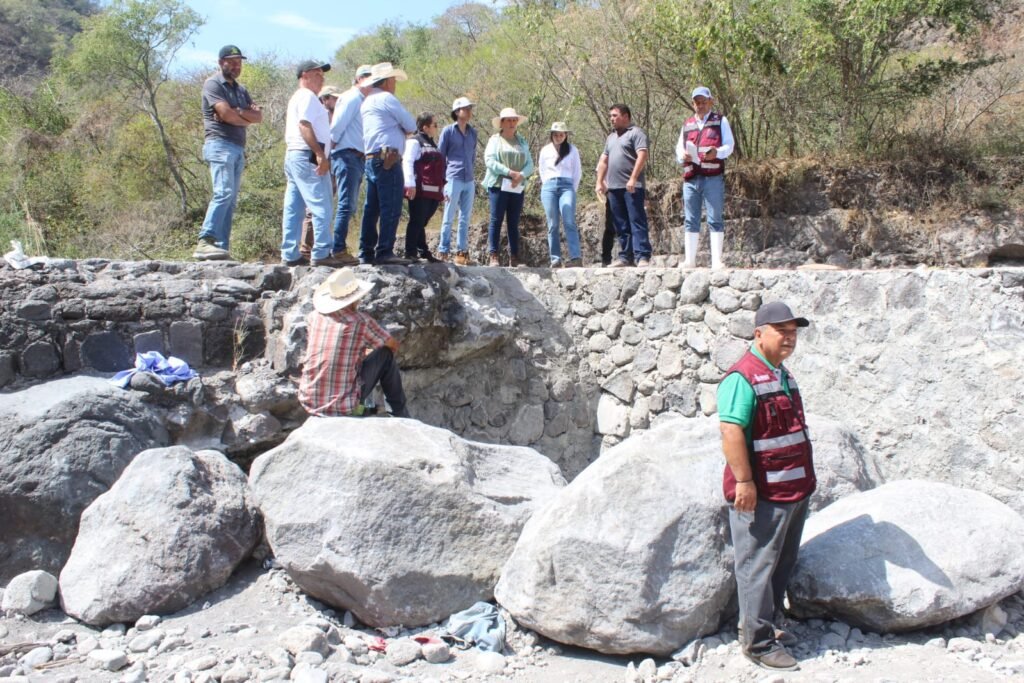 WhatsApp Image 2026-02-11 at 17.48.30