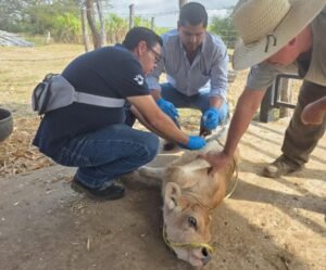 WhatsApp Image 2026-02-12 at 12.41.14