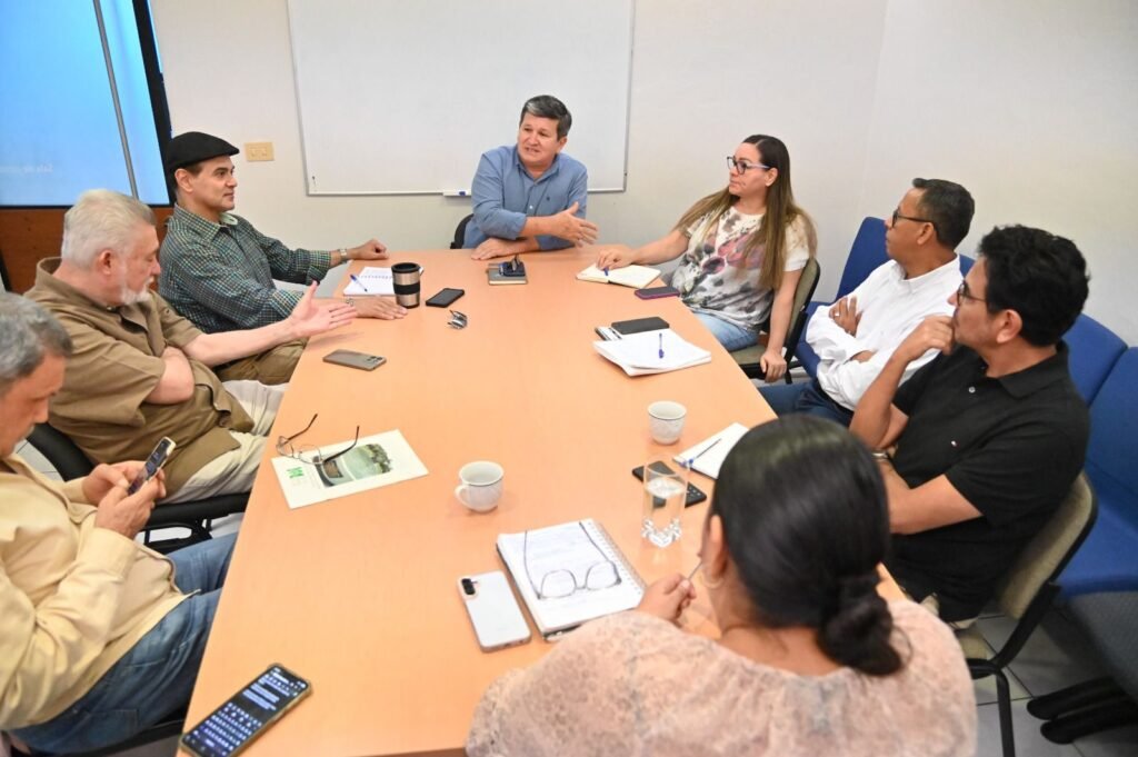 WhatsApp Image 2026-02-12 at 13.52.36