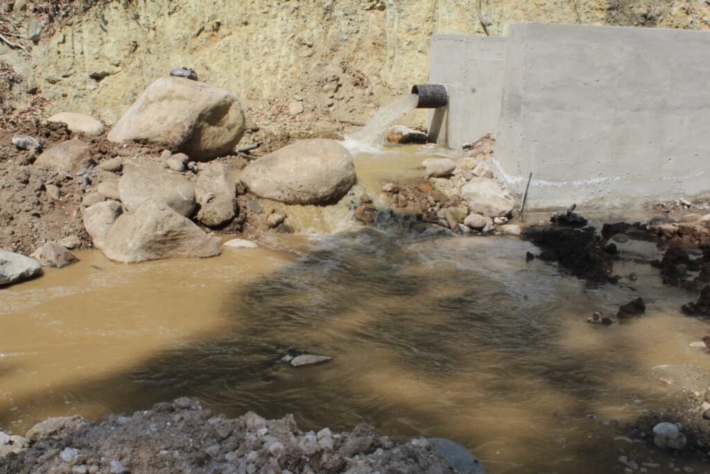 WhatsApp Image 2026-02-16 at 17.22.11