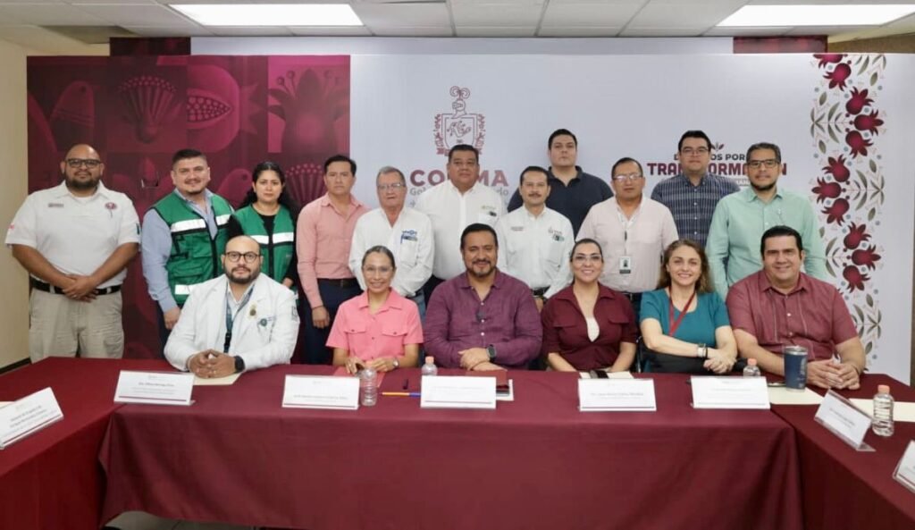 WhatsApp Image 2026-02-17 at 12.11.16