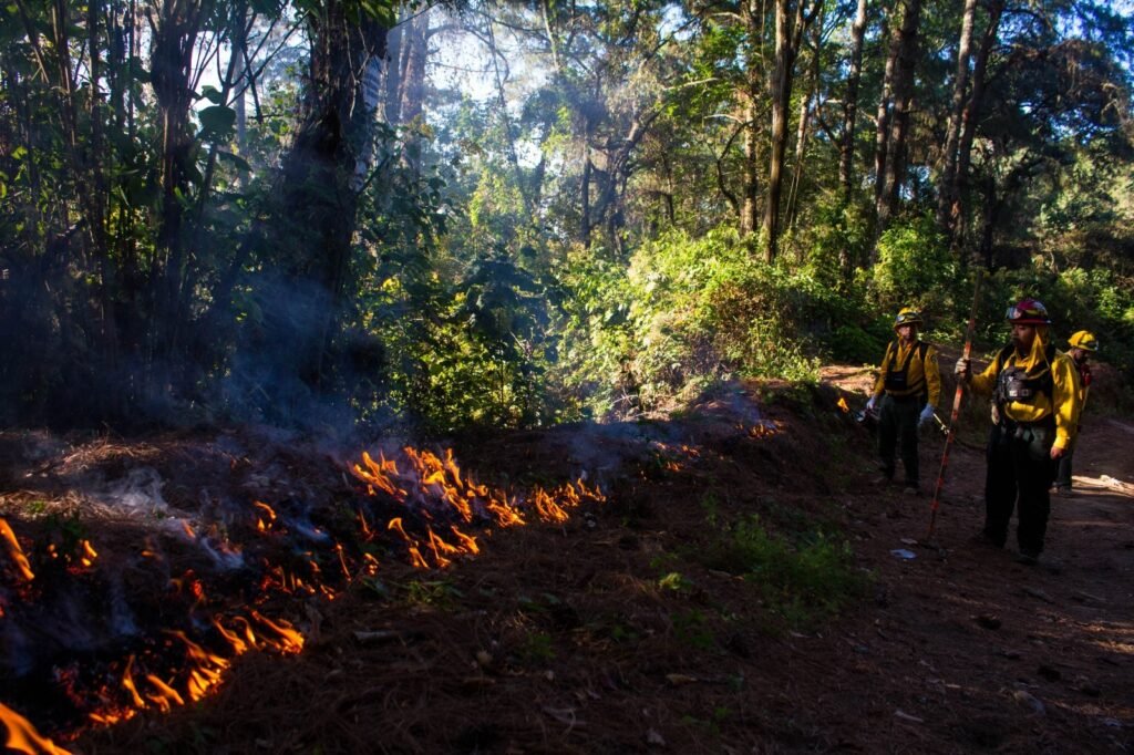 WhatsApp Image 2026-02-18 at 10.37.33