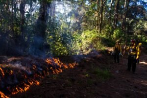 WhatsApp Image 2026-02-18 at 10.37.33