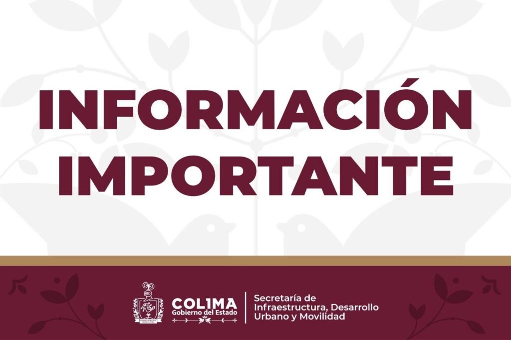 WhatsApp Image 2026-02-19 at 19.36.32