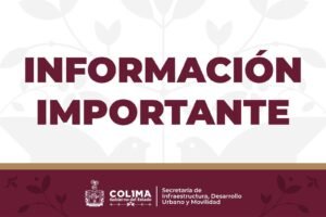 WhatsApp Image 2026-02-19 at 19.36.32