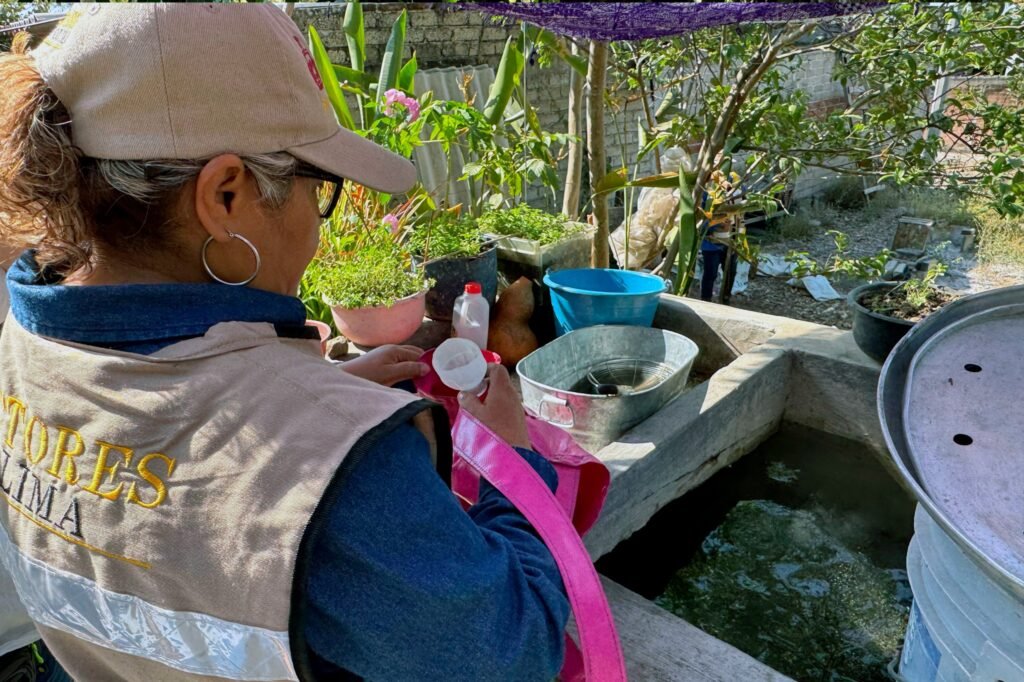 WhatsApp Image 2026-02-20 at 15.50.27